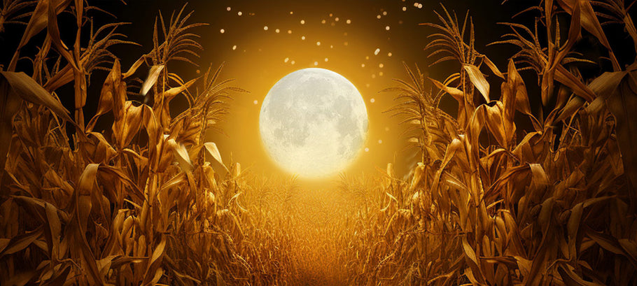 Embrace the Harvest Moon: Boosting Self-Esteem with Goddess Well